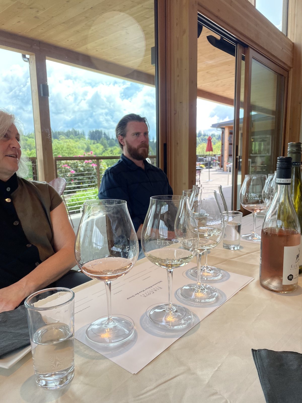 Glasses lined up, looking out over the vines.