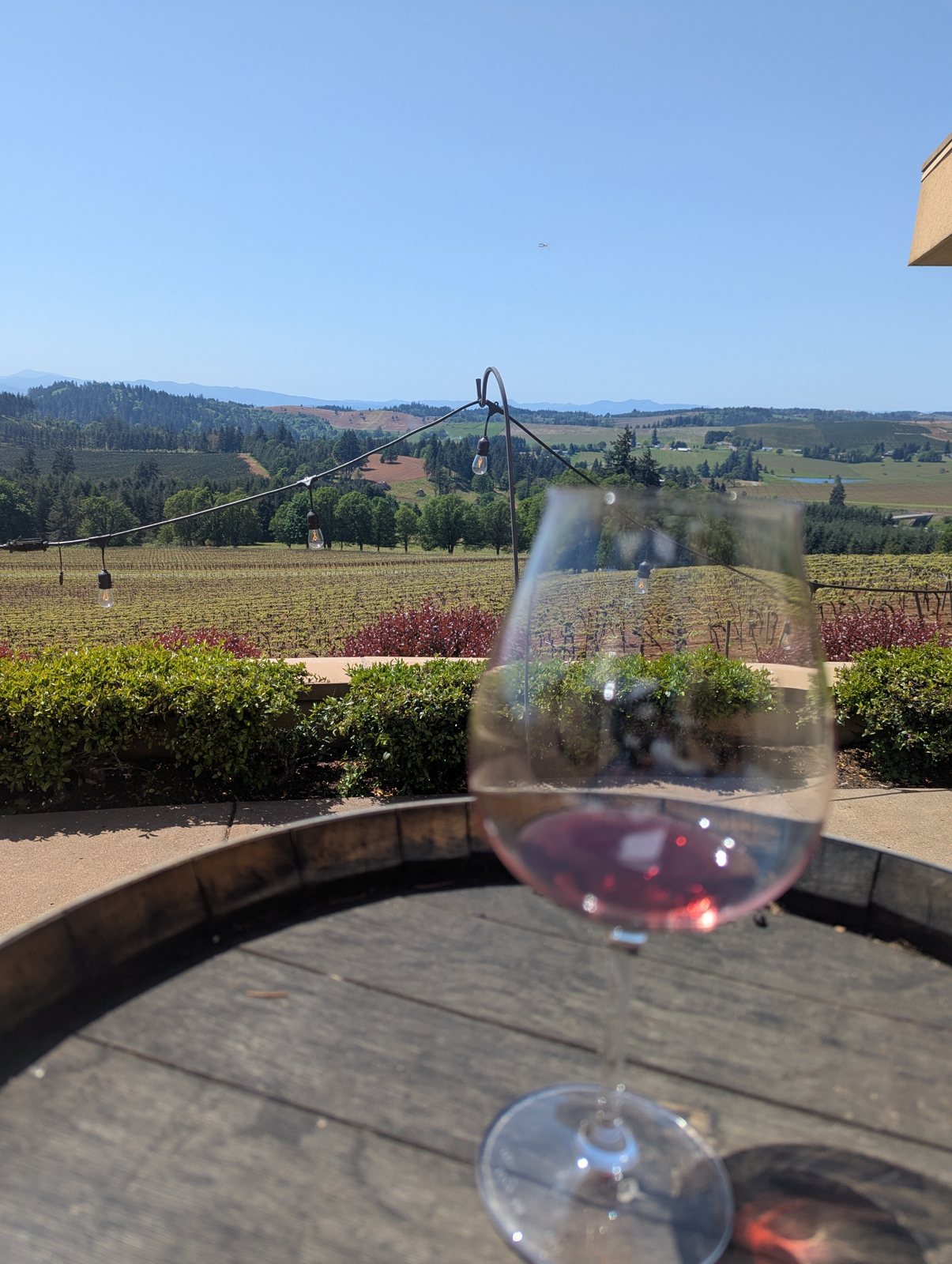 A glass with a view over the valley.